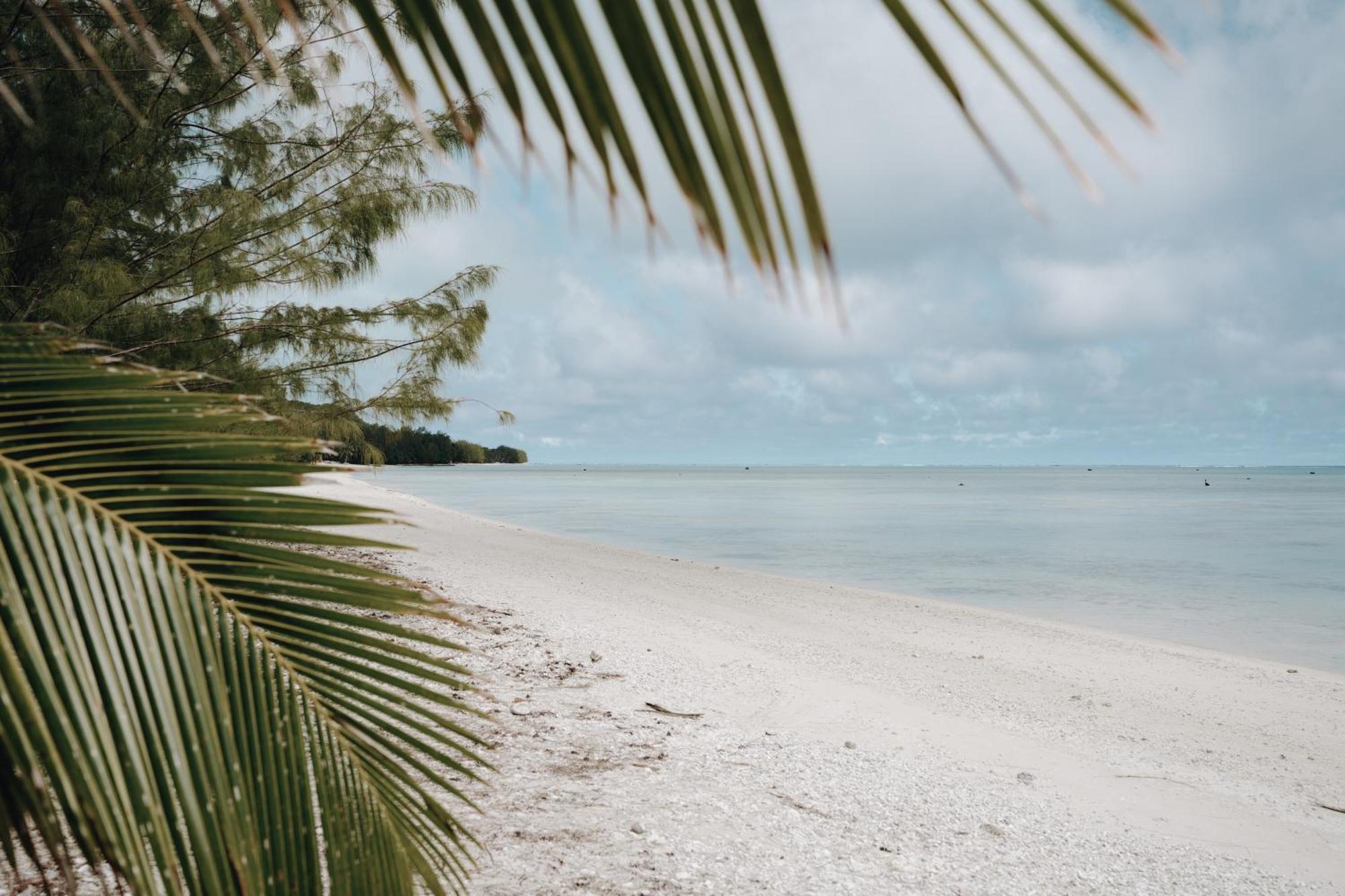 Tai'Inu Bungalows Amuri Ngoại thất bức ảnh
